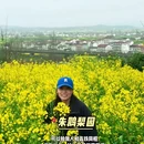汉中旅游 缩略图 3