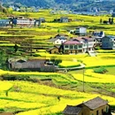 汉中旅游 缩略图 2