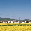 汉中旅游 缩略图 6