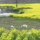 汉中旅游 缩略图 7