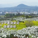 汉中旅游 缩略图 1