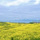 汉中旅游 缩略图 3