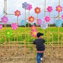 汉中旅游 缩略图 8