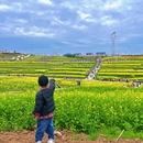 汉中旅游 缩略图 7