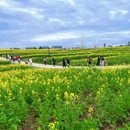 汉中旅游 缩略图 14