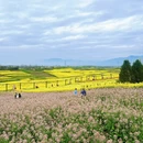 汉中旅游 缩略图 11