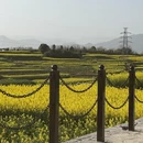 汉中旅游 缩略图 3
