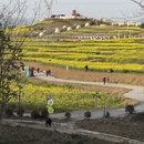 汉中旅游 缩略图 4