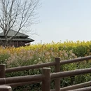 汉中旅游 缩略图 5