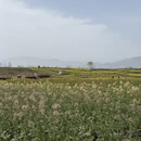 汉中旅游 缩略图 8