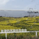 汉中旅游 缩略图 9