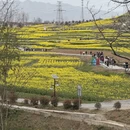 汉中旅游 缩略图 14