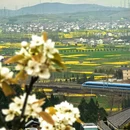 汉中旅游 缩略图 2