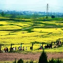 汉中旅游 缩略图 1