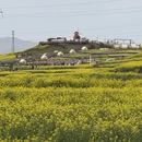 汉中旅游 缩略图 12