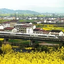 汉中旅游 缩略图 5
