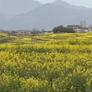 汉中旅游 缩略图 11