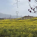 汉中旅游 缩略图 10