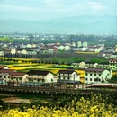 汉中旅游 缩略图 9