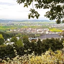 汉中旅游 缩略图 7