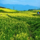 汉中旅游 缩略图 12