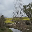 汉中旅游 缩略图 13