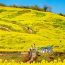 汉中旅游 缩略图 1
