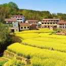 汉中旅游 缩略图 5