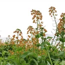 汉中旅游 缩略图 9