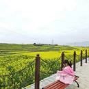汉中旅游 缩略图 14