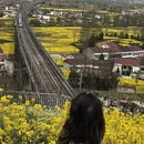 汉中旅游 缩略图 2