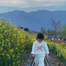 汉中旅游 缩略图 5