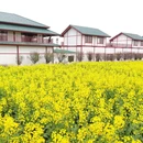 汉中旅游 缩略图 13