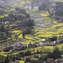 汉中旅游 缩略图 1