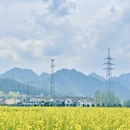 汉中旅游 缩略图 3