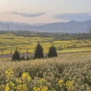 汉中旅游 缩略图 3