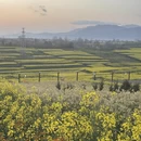 汉中旅游 缩略图 4