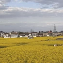 汉中旅游 缩略图 7
