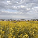 汉中旅游 缩略图 5
