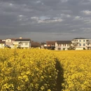汉中旅游 缩略图 12