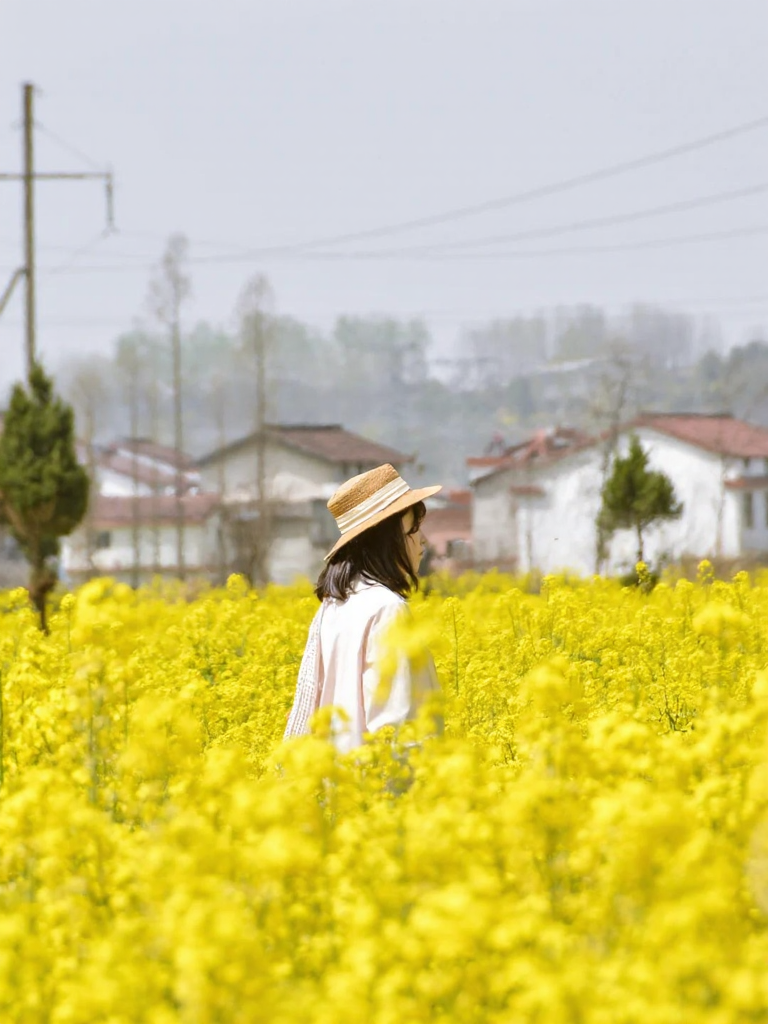 汉中旅游