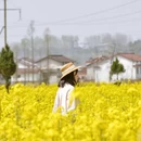 汉中旅游 缩略图 1