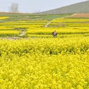 汉中旅游 缩略图 8