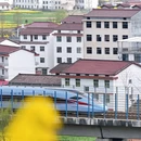 汉中旅游 缩略图 5