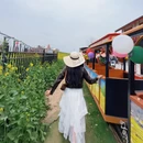 汉中旅游 缩略图 2