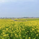 汉中旅游 缩略图 4