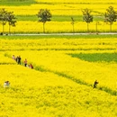 汉中旅游 缩略图 6