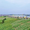 汉中旅游 缩略图 5