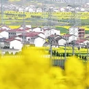 汉中旅游 缩略图 4