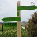汉中旅游 缩略图 6